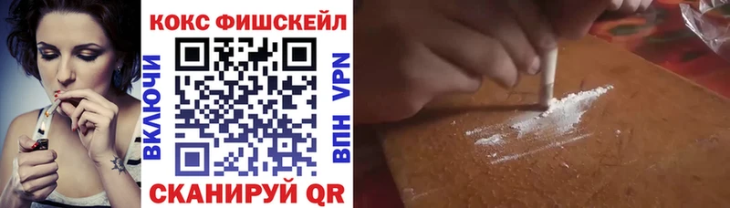 COCAIN Fish Scale  как найти закладки  Улан-Удэ 
