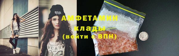 стаф Богданович