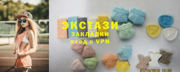 индика Шарыпово