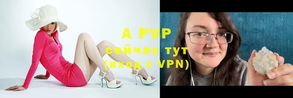 apvp Белокуриха