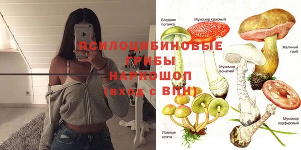 прущий лед Шадринск