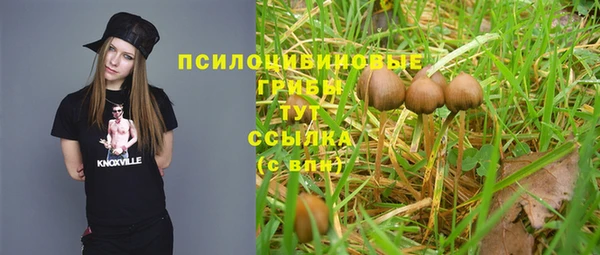 apvp Белокуриха