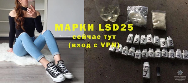 apvp Белокуриха