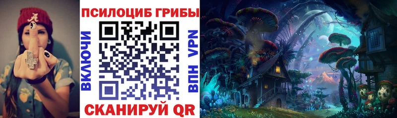 Псилоцибиновые грибы мицелий  Улан-Удэ 